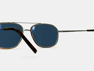 Aiko Sunglasses in Oak Barrel with Riesling 3D model