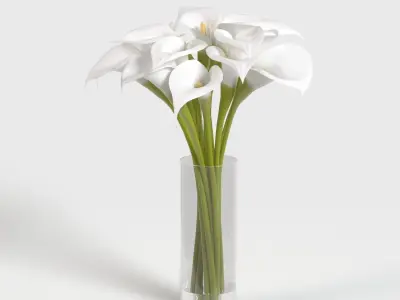 Cala Lily In Vase PBR 3D model