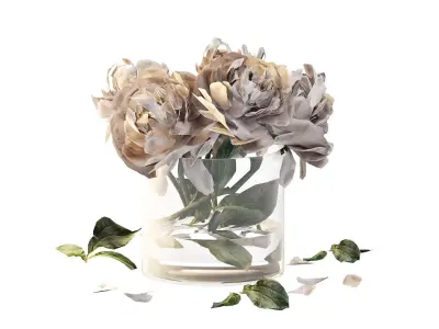 Bouquet of peonies in a glass vase 3D model