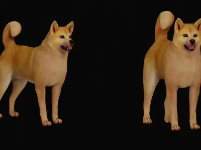 Finnish Spitz Dog Low-poly 3D model