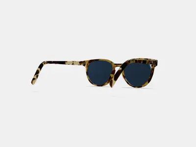 Wright Sunglasses in Walnut Tortoise 3D model