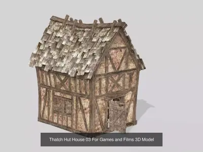 Thatch Hut House Collection For Games and Films 3D Model