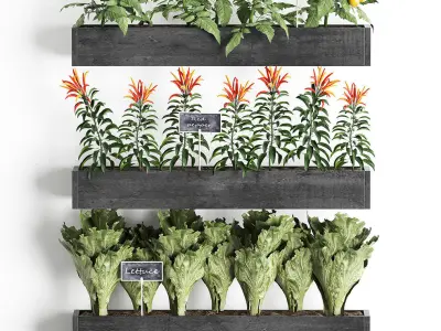 Decorative plants for the kitchen on wooden box 47 3D model