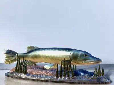 fish pike in motion underwater statue detailed texture 3D print model