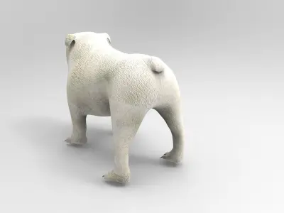 BullDog game ready low poly Model - Low-poly 3D model