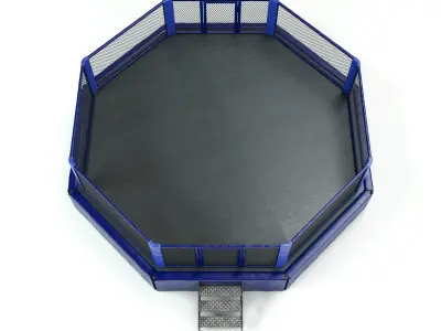 Mixed Martial Arts Octagon Arena 3D model