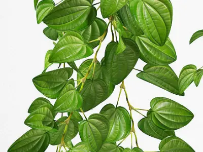 Hanging plants 131 3D model