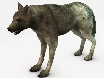 Wolf Low-poly 3D model