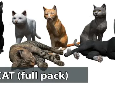 Cat pack 2 Low-poly 3D model