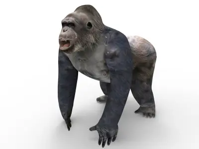 gorilla Rigged 3D Models game ready Low-poly 3D model