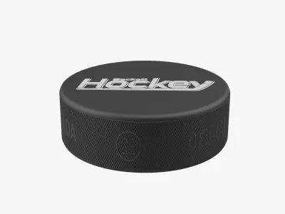 Hockey Puck 4 3D model