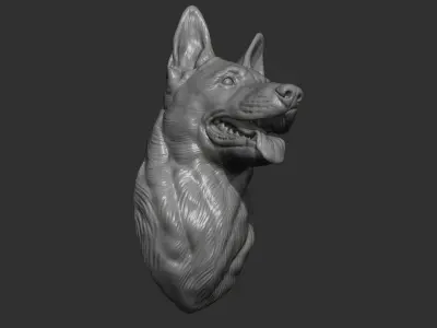 Belgian Shepherd Malinois bust 3D print model