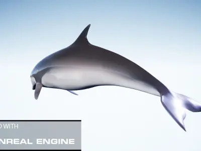 Realistic Animated Dolphin Low-poly 3D model