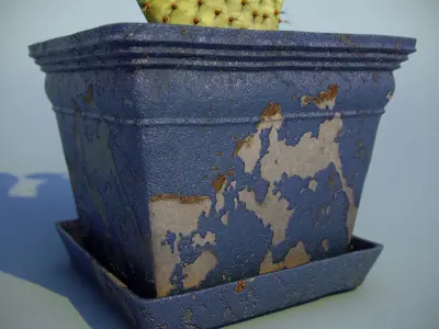 Cactus In Pot 3D model