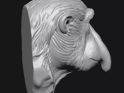 Proboscis Monkey 3D print model