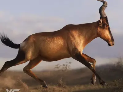 Buselaphus  VFX Grace 3D model