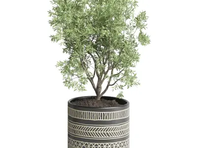Collection Indoor plant 60 vase handmade pottery plant tree pot 3D model