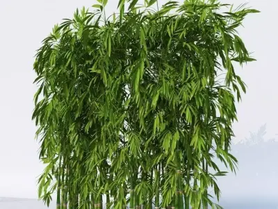 Dense Bamboo Against Wall  3D model