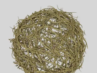 Tumbleweed stylized 3D model