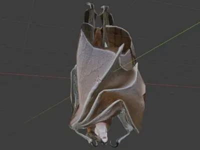 Fruit bat Low-poly 3D model