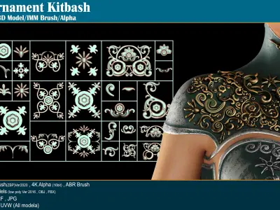 80 Sahra Ornament Kitbash 3D Model-IMM Brush-Alpha VOL05 Low-poly 3D model