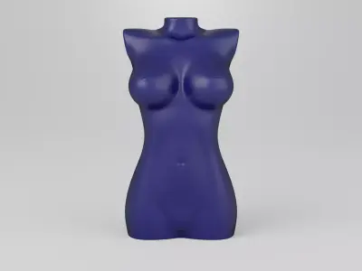 Female torso 1 3D print model