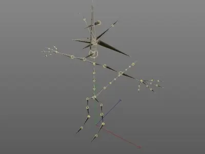 Cartoon rancoon 3D model