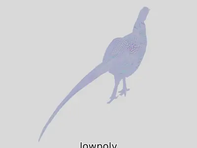 Realistic Pheasant Bird Model 3D with High-Quality Texture Low-poly 3D model