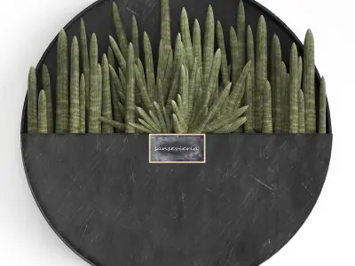 Cactus set wall decor vertical garden 55 3D model