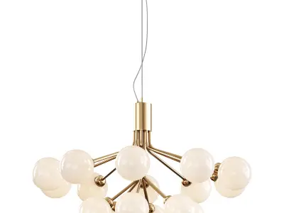 Apiales Chandelier 3D model