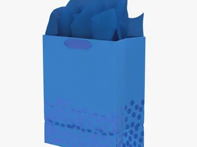 Hallmark 13 Large Gift Bag with Tissue Paper 3D model