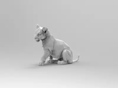 baby lion 3D model