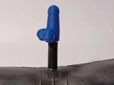 Penis Schrader Valve Cap 3D print model