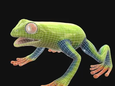 Frog Green Low-poly 3D model
