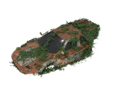 Damaged Rusted Sport Car  3D model