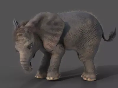 Fur Baby Elephant Rigged in Blender Low-poly 3D model