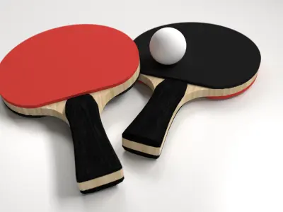 Table Tennis Set 3D model