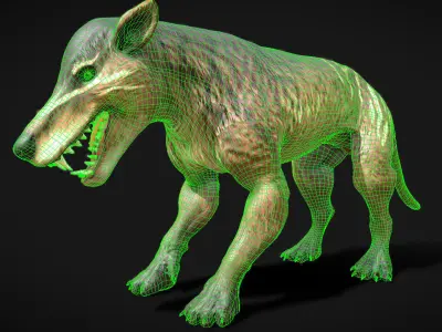 Hyaenodon gigas  Apex Predator of the Eocene Low-poly 3D model