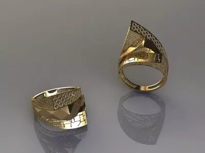 torturial ring 3D print model