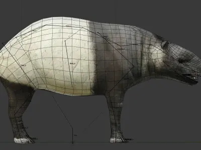 Tapir Low-poly 3D model