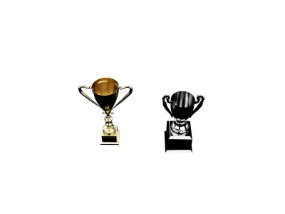 Champions Cups F3 3D model