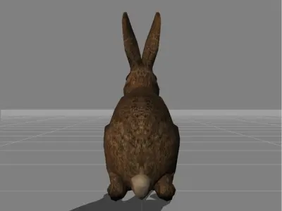 rabbit v1 animal Low-poly 3D model