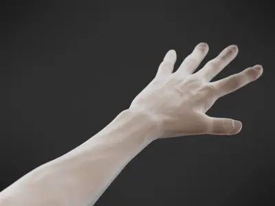 Human Body Man realistic 3D model