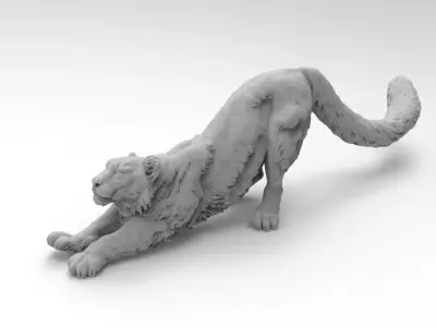 leopard 3D model
