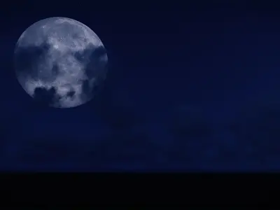 DECK HOUSE WITH GARDEN 3D model