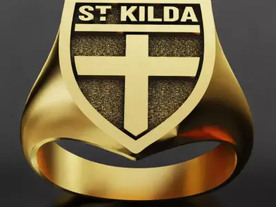 St Kilda Australia Football Fans 3D print model  3D print model