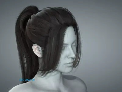 Realistic 3D Long PonyTail Dark Brown Low-poly 3D model