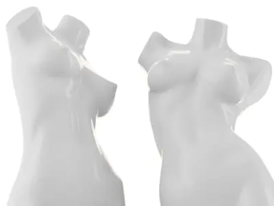 Female Mannequin Torso 3D model