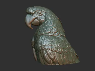 Parrot Ara bust 3D print model