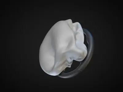 Safety Airbag Animated for Cinema4d 3D model